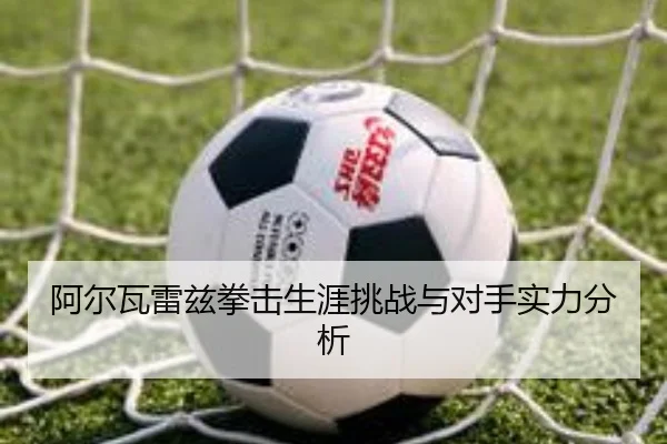 阿尔瓦雷兹拳击生涯挑战与对手实力分析